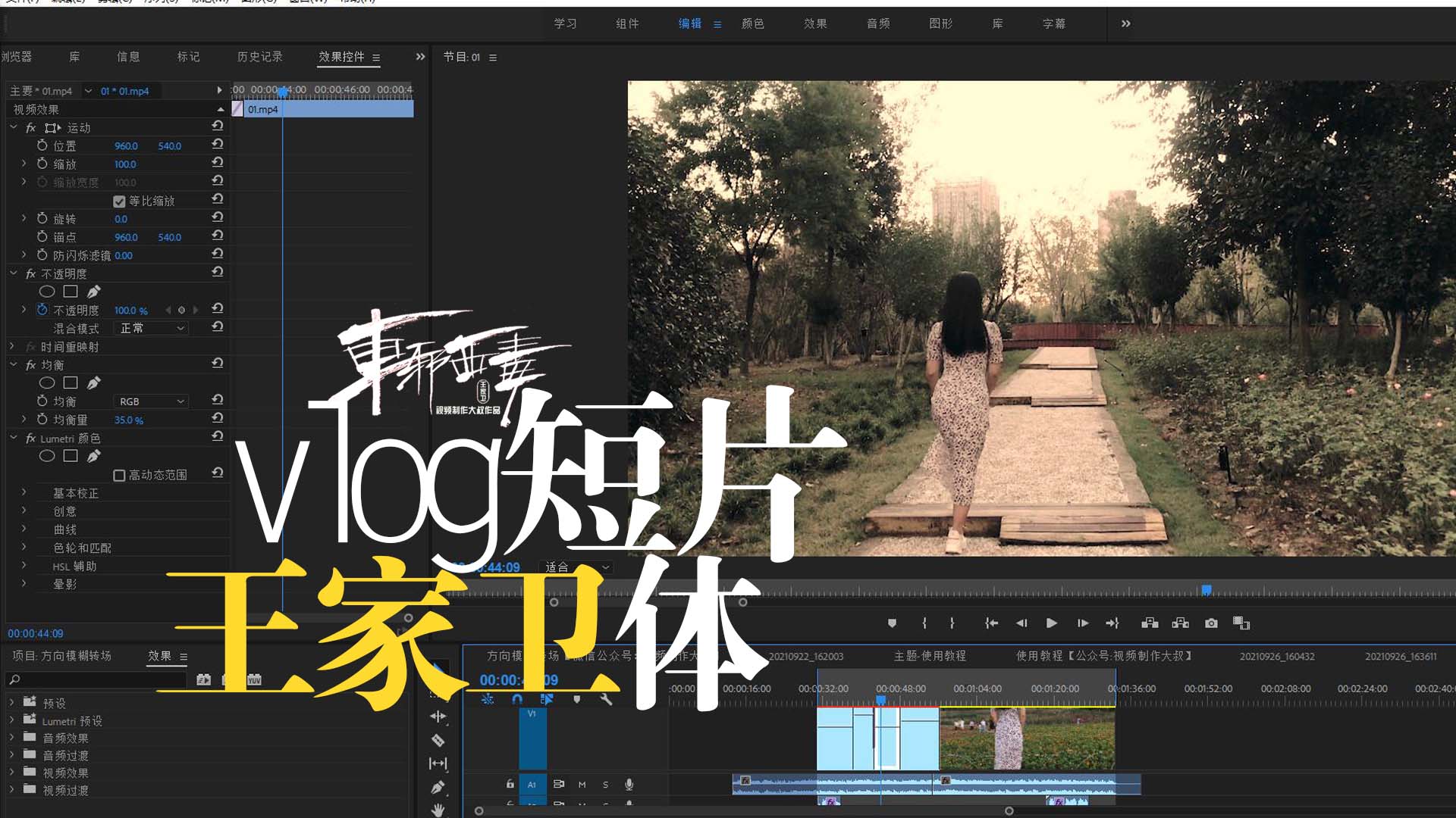 原创王家卫体vlog：东邪西毒